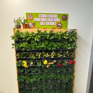 리치식물원 수직정원 렌트 30,000원/월 메인페이지 미리보기